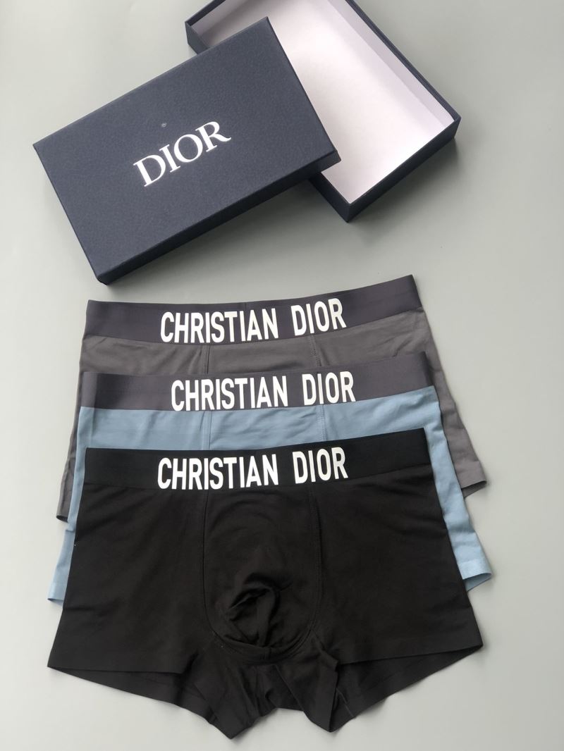 Dior Panties